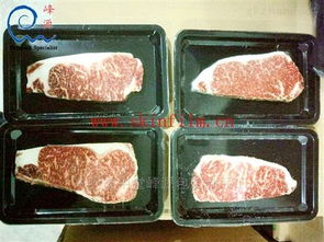 4520SA食品贴体包装膜 东莞市中堂峰源包装制品厂的预包装食品保鲜方案